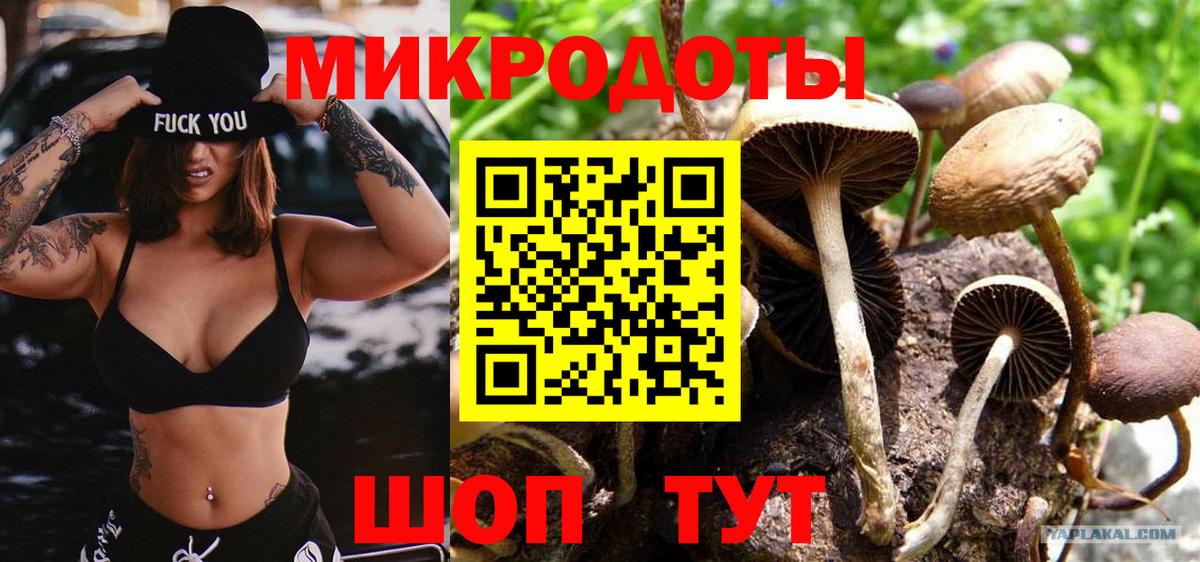 Галлюциногенные грибы MAGIC MUSHROOMS Саки