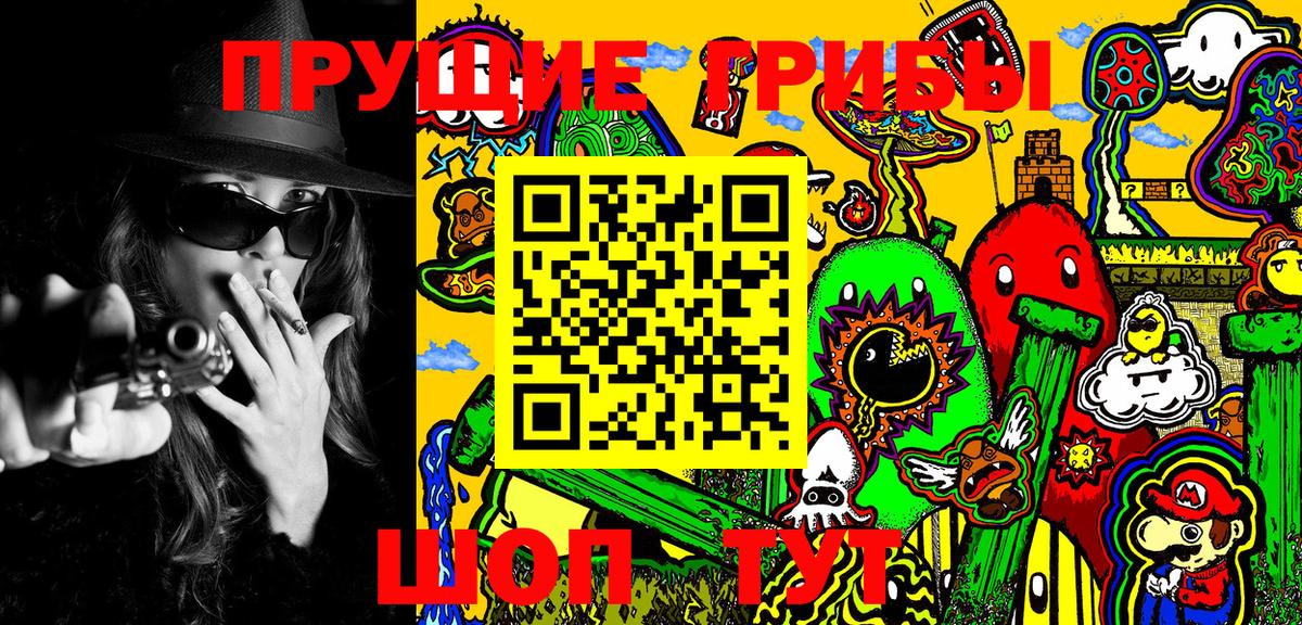 Галлюциногенные грибы Cubensis  Вход с VPN  Саки  Галлюциногенные грибы Cubensis 